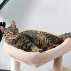 Arbre à Chat XXL Beige à Plusieurs Niveaux Avec Grattoir En Sisal -Chats Fournitures Magasin Arbre a chat XXL beige a plusieurs niveaux avec grattoir en sisal Pour toi Mon chat 1684260677