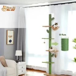 Arbre à Chat Cactus à Cinq Niveaux