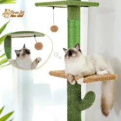 Arbre à Chat Cactus à Cinq Niveaux -Chats Fournitures Magasin Arbre a chat cactus a cinq niveaux Pour toi Mon chat 1681753145