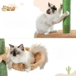 Arbre à Chat Cactus à Cinq Niveaux -Chats Fournitures Magasin Arbre a chat cactus a cinq niveaux Pour toi Mon chat 1681753149