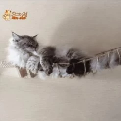 Arbre à Chat En Forme De Pont En Bois Suspendu 14 Arbre à Chat En Forme De Pont En Bois Suspendu -Chats Fournitures Magasin Arbre a chat en forme de pont en bois suspendu Pour toi Mon chat 1665445921