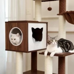 Arbre à Chat Marron En Bois Massif Pour Chat Main Coon -Chats Fournitures Magasin Arbre a chat marron en bois massif Pour toi Mon chat 1679755596 b097de63 1668 42c1 bdf7 c8da614200d8
