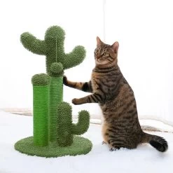Arbre à Chat Mignon En Forme De Cactus Avec Boule Pour Chat XXL -Chats Fournitures Magasin Arbre a chat mignon en forme de cactus avec boule Pour toi Mon chat 1679668386