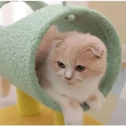 Arbre D'escalade En Design De Dinosaure Pour Chat -Chats Fournitures Magasin Arbre d escalade en design de dinosaure pour chat Pour toi Mon chat 1681110251 bb6aa57a 993f 4973 b1ac 1b2acb09c3b1