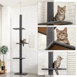 Arbre D'escalade Pour Chat à Cinq Niveaux -Chats Fournitures Magasin Arbre d escalade pour chat a cinq niveaux Pour toi Mon chat 1679671920 9fe813e5 1ee3 478c b742 2a7c5e47e094