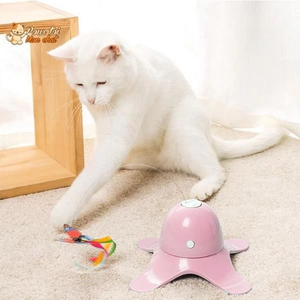 Jouet Papillon Volant Pour Chat - Attrap'Papillon™ 1 Jouet Papillon Volant Pour Chat - Attrap'Papillon™