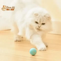 Chats Fournitures Magasin -Chats Fournitures Magasin BALLE ROULANTE INTELLIGENTE POUR CHAT Vite Balle Chat Pour toi Mon chat 1669370858