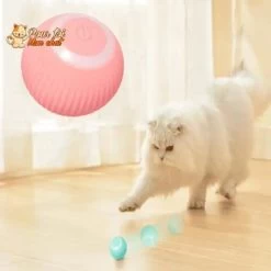BALLE ROULANTE INTELLIGENTE POUR CHAT – Vite’Balle’Chat™ 16 BALLE ROULANTE INTELLIGENTE POUR CHAT – Vite’Balle’Chat™ -Chats Fournitures Magasin BALLE ROULANTE INTELLIGENTE POUR CHAT Vite Balle Chat Pour toi Mon chat 1669370931