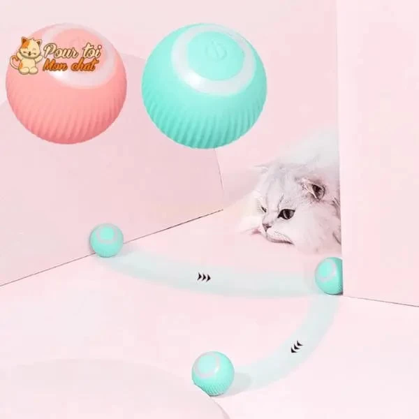 BALLE ROULANTE INTELLIGENTE POUR CHAT – Vite’Balle’Chat™ 4 BALLE ROULANTE INTELLIGENTE POUR CHAT – Vite’Balle’Chat™ – Image 4