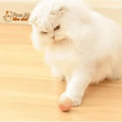 BALLE ROULANTE INTELLIGENTE POUR CHAT – Vite’Balle’Chat™ 18 BALLE ROULANTE INTELLIGENTE POUR CHAT – Vite’Balle’Chat™ -Chats Fournitures Magasin BALLE ROULANTE INTELLIGENTE POUR CHAT Vite Balle Chat Pour toi Mon chat 1669370938