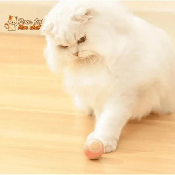 BALLE ROULANTE INTELLIGENTE POUR CHAT – Vite’Balle’Chat™ 5 BALLE ROULANTE INTELLIGENTE POUR CHAT – Vite’Balle’Chat™ – Image 5