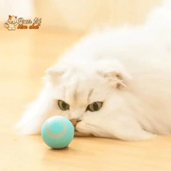 BALLE ROULANTE INTELLIGENTE POUR CHAT – Vite’Balle’Chat™ 6 BALLE ROULANTE INTELLIGENTE POUR CHAT – Vite’Balle’Chat™ – Image 6