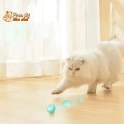 BALLE ROULANTE INTELLIGENTE POUR CHAT – Vite’Balle’Chat™ 21 BALLE ROULANTE INTELLIGENTE POUR CHAT – Vite’Balle’Chat™ -Chats Fournitures Magasin BALLE ROULANTE INTELLIGENTE POUR CHAT Vite Balle Chat Pour toi Mon chat 1669370946