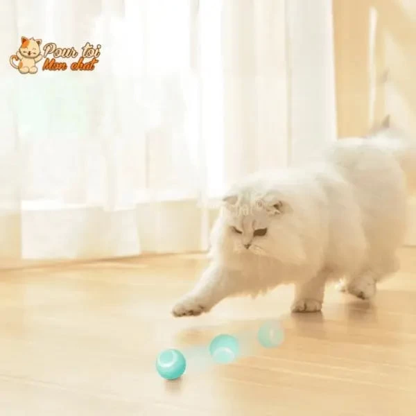 BALLE ROULANTE INTELLIGENTE POUR CHAT – Vite’Balle’Chat™ 8 BALLE ROULANTE INTELLIGENTE POUR CHAT – Vite’Balle’Chat™ – Image 8