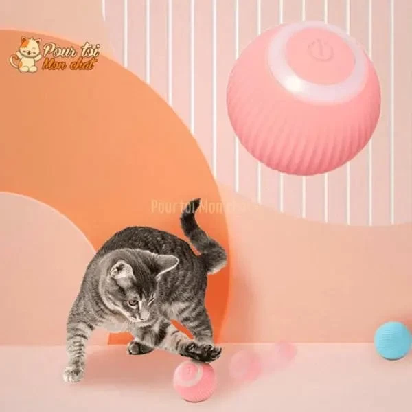 BALLE ROULANTE INTELLIGENTE POUR CHAT – Vite’Balle’Chat™ 10 BALLE ROULANTE INTELLIGENTE POUR CHAT – Vite’Balle’Chat™ – Image 10