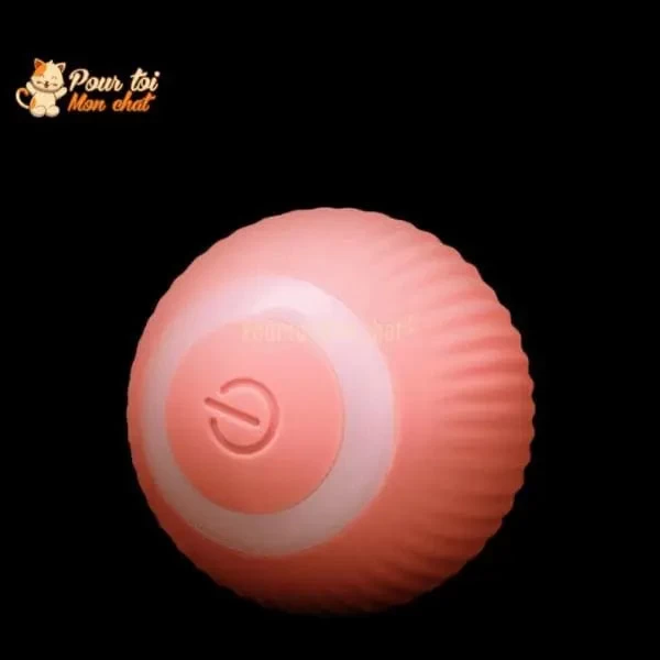 BALLE ROULANTE INTELLIGENTE POUR CHAT – Vite’Balle’Chat™ 11 BALLE ROULANTE INTELLIGENTE POUR CHAT – Vite’Balle’Chat™ – Image 11