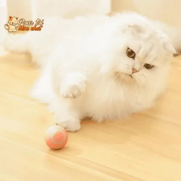 BALLE ROULANTE INTELLIGENTE POUR CHAT – Vite’Balle’Chat™ 14 BALLE ROULANTE INTELLIGENTE POUR CHAT – Vite’Balle’Chat™ – Image 14