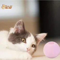 Balle Avec Des Sons D'animaux - Music'Balls™ -Chats Fournitures Magasin Balle avec des sons d animaux Music Balls Pour toi Mon chat 1666713011