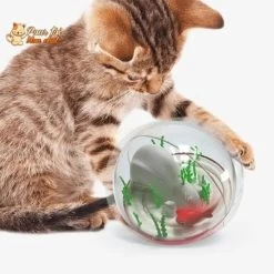 Balle De Jeu Interactive “aquarium” Pour Chat - AQUA'CHAT™ -Chats Fournitures Magasin Balle de jeu interactive aquarium pour chat AQUA CHAT Pour toi Mon chat 1667224957