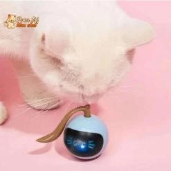Balle Magique Lumineuse Pour Chat - Catch'Cat™ -Chats Fournitures Magasin Balle pour Chat Catch Cat Pour toi Mon chat 1639749992