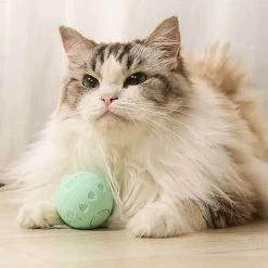 Balle Sautante Interactive Verte Rechargeable Pour Chat