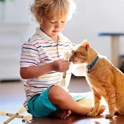 Bâton à Mâcher En Herbe Pour Chaton -Chats Fournitures Magasin Baton a macher en herbe pour chaton Pour toi Mon chat 1680878523