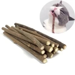 Bâtonnets En Bois Pour Nettoyage Des Dents Pour Chat -Chats Fournitures Magasin Batonnets en bois pour nettoyage des dents pour chat Pour toi Mon chat 1687614308468