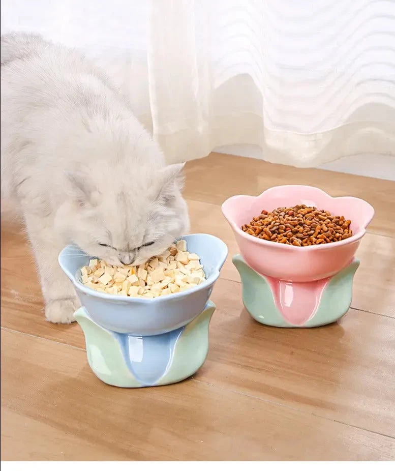 Bol à Fleurs En Céramique Pour Chats 6 Bol à Fleurs En Céramique Pour Chats – Image 6