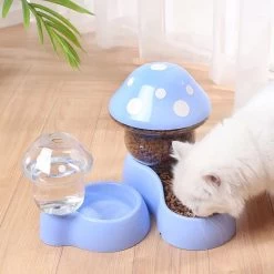 Bol D'alimentation En Forme De Champignon Pour Chat