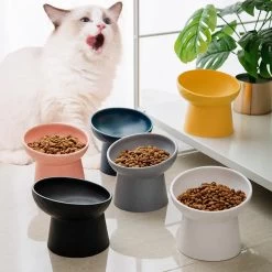 Bol D'eau Et De Nourriture En Céramique Style Nordique Pour Chats -Chats Fournitures Magasin Bol d eau et de nourriture en ceramique style nordique pour chats Pour toi Mon chat 1679331839 de13c8b8 21be 4c83 a822 55952c36083e