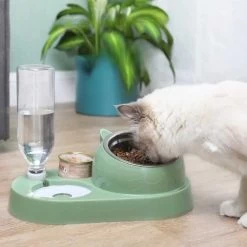 Bol En Acier Inoxydable Pour Chats