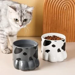 Bol En Céramique De Style Japonais Pour Chat