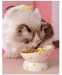 Bol En Céramique à Pois Surélevé Pour Chat