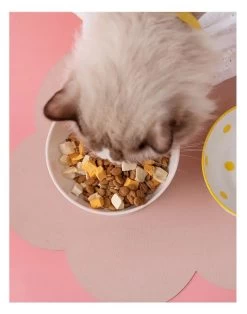 Bol En Céramique à Pois Surélevé Pour Chat -Chats Fournitures Magasin Bol en ceramique sureleve pour chat Pour toi Mon chat 1679332927 893bec3d 233f 4c2b 9993 ae14d03cede3