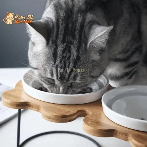 Bols D’alimentation Et De Boisson En Céramique Pour Chats - MonChatBol™ 2 Bols D’alimentation Et De Boisson En Céramique Pour Chats - MonChatBol™ – Image 2
