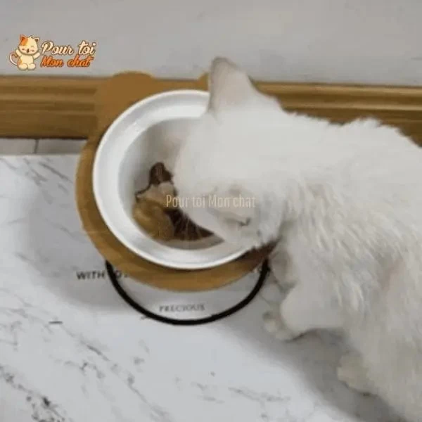 Bols D’alimentation Et De Boisson En Céramique Pour Chats - MonChatBol™ 17 Bols D’alimentation Et De Boisson En Céramique Pour Chats - MonChatBol™ – Image 17