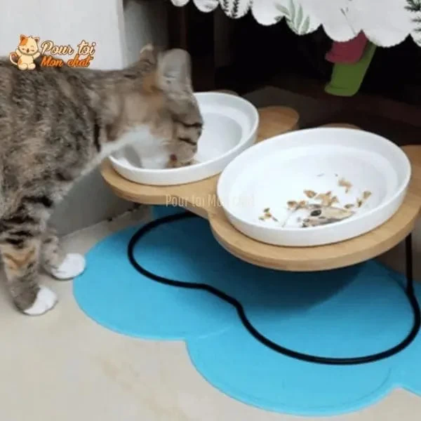 Bols D’alimentation Et De Boisson En Céramique Pour Chats - MonChatBol™ 18 Bols D’alimentation Et De Boisson En Céramique Pour Chats - MonChatBol™ – Image 18