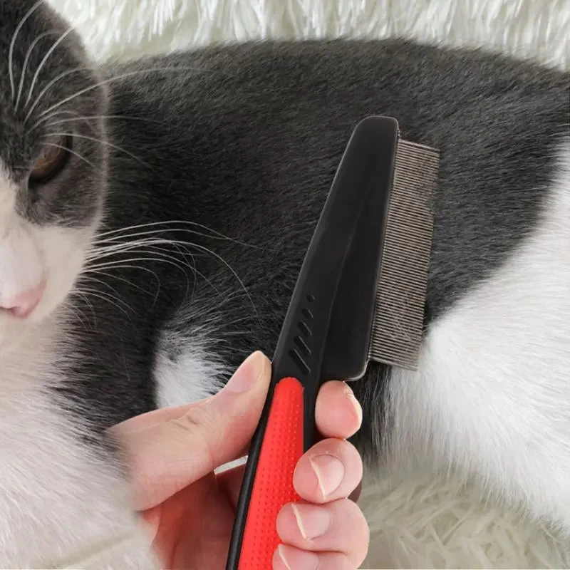 Brosse D'élimination Des Puces Et Des Poux Chat 1 Brosse D'élimination Des Puces Et Des Poux Chat