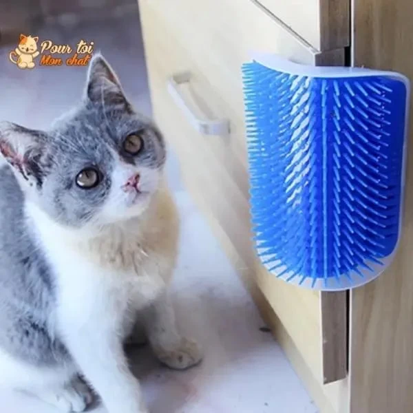 Brosse D’angle, Auto-massage Pour Chats 5 Brosse D’angle, Auto-massage Pour Chats – Image 5