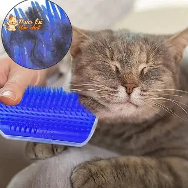 Brosse D’angle, Auto-massage Pour Chats 14 Brosse D’angle, Auto-massage Pour Chats – Image 14