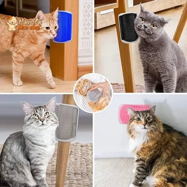 Brosse D’angle, Auto-massage Pour Chats 11 Brosse D’angle, Auto-massage Pour Chats – Image 11