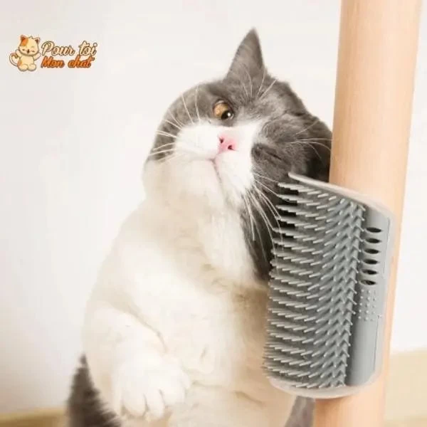 Brosse D’angle, Auto-massage Pour Chats 15 Brosse D’angle, Auto-massage Pour Chats – Image 15