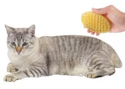Brosse De Massage En Poils Doux De Silicone Pour Chat