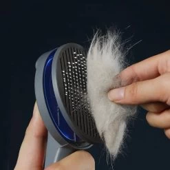 Brosse De Toilettage Avec Bouton En Acier Inoxydable Pour Chat -Chats Fournitures Magasin Brosse de toilettage avec bouton en acier inoxydable pour chat Pour toi Mon chat 1687618475850 f63ebca4 1758 4d89 a5f8 ac957c609b90