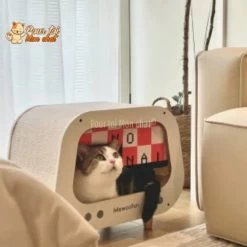 CABANE, LIT, MAISON - POUR CHAT MODERNE EN BOIS - TheRadioChat™ 27 CABANE, LIT, MAISON - POUR CHAT MODERNE EN BOIS - TheRadioChat™ -Chats Fournitures Magasin CABANE LIT MAISON POUR CHAT MODERNE EN BOIS TheRadioChat Pour toi Mon chat 1669071005