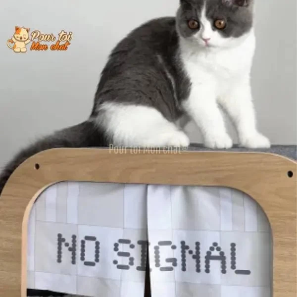 CABANE, LIT, MAISON - POUR CHAT MODERNE EN BOIS - TheRadioChat™ 11 CABANE, LIT, MAISON - POUR CHAT MODERNE EN BOIS - TheRadioChat™ – Image 11