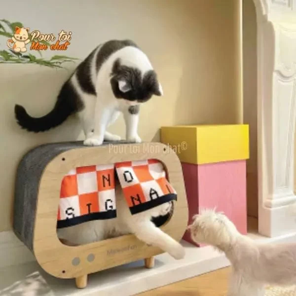 CABANE, LIT, MAISON - POUR CHAT MODERNE EN BOIS - TheRadioChat™ 12 CABANE, LIT, MAISON - POUR CHAT MODERNE EN BOIS - TheRadioChat™ – Image 12