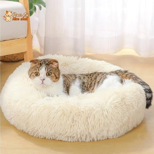 Coussin Douillet Pour Chat - CoussinooRelax™ 2 Coussin Douillet Pour Chat - CoussinooRelax™ – Image 2