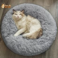 Coussin Douillet Pour Chat - CoussinooRelax™ 8 Coussin Douillet Pour Chat - CoussinooRelax™ -Chats Fournitures Magasin COUSSINOO Coussin Douillet et Confortable Chat Pour toi Mon chat 1620681642