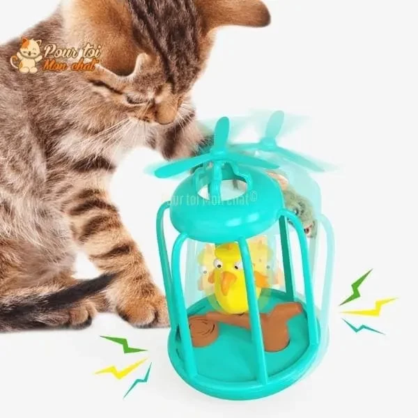 Cage à Oiseau Ludique Pour Chat - Titi&GrosMinet™ 11 Cage à Oiseau Ludique Pour Chat - Titi&GrosMinet™ – Image 11